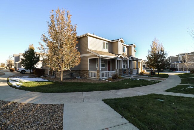 6117 Verbena Ct in Erie, CO - Foto de edificio - Building Photo