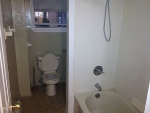 386 Madison Ave, Unit Garden Level in Albany, NY - Building Photo - Building Photo