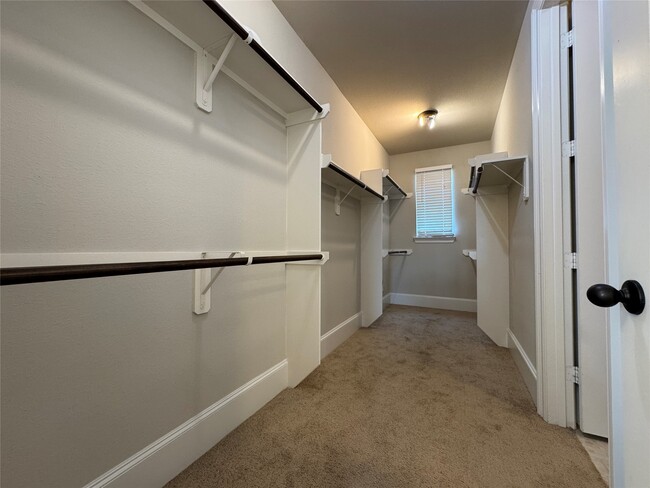 property at 30154 Southern Sky Dr