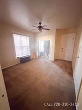 1145 N Clarkson St in Denver, CO - Building Photo - Building Photo