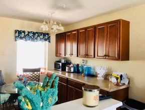 56 Seabreeze Dr in Ormond Beach, FL - Foto de edificio - Building Photo