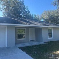 2418 CR 451 in Lake Panasoffkee, FL - Building Photo
