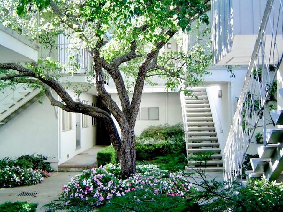 The Pines Apartments in Menlo Park, CA - Building Photo