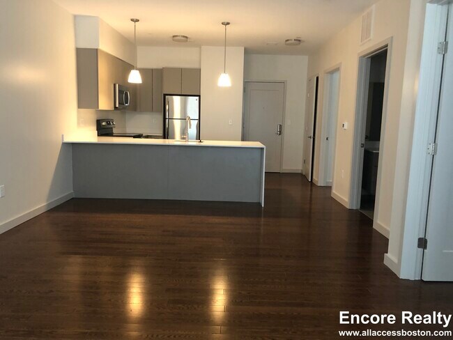 455 Harvard St, Unit 206 in Brookline, MA - Building Photo - Building Photo