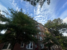 7 Linnaean St, Unit 10 in Cambridge, MA - Building Photo - Building Photo