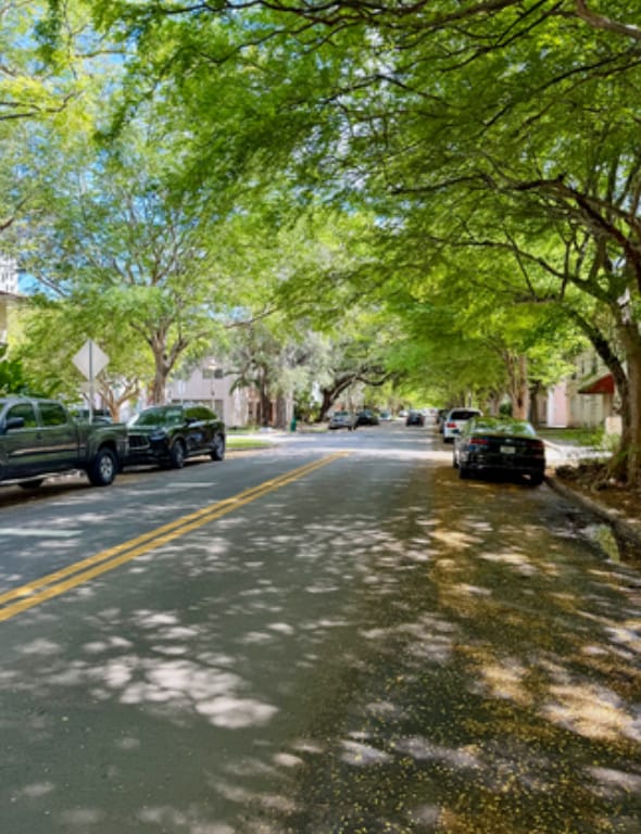 property at 1014 Salzedo St