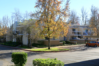 Marlow Apartments in Santa Rosa, CA - Building Photo - Building Photo