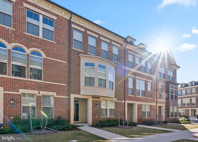 20661 Newcomb Ter in Ashburn, VA - Building Photo - Building Photo