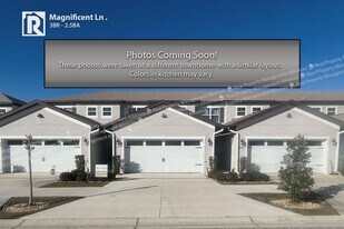 8544 Magnificent Ln in Groveland, FL - Building Photo