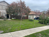 1113 Stone Branch in New Braunfels, TX - Foto de edificio - Building Photo