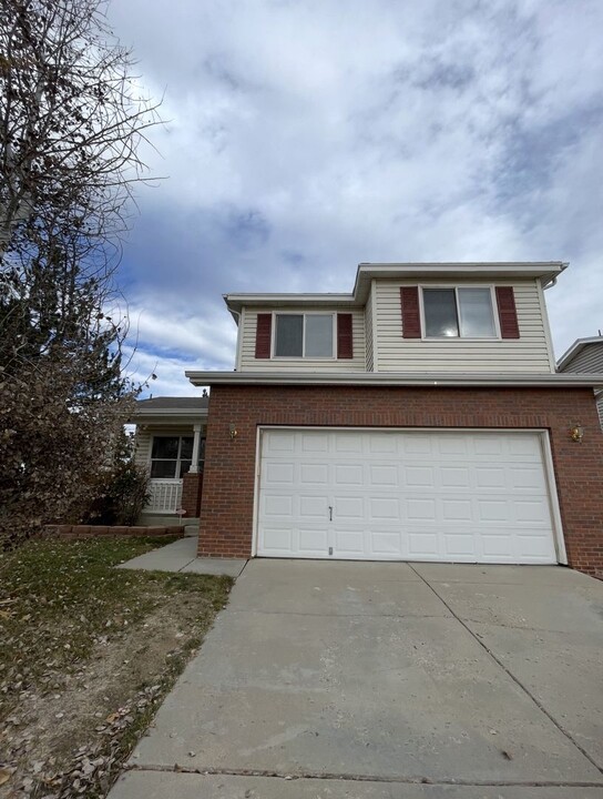 1153 Fall River Cir in Longmont, CO - Building Photo