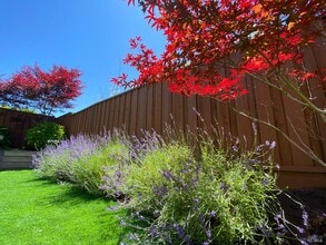 873 Saratoga Dr in Napa, CA - Building Photo - Building Photo