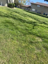 2404 Peppertree Ct, Unit 2404 pepper tree ct#1 in Antioch, CA - Building Photo - Building Photo