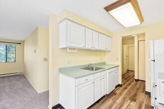 471 Idlewood Blvd in Baldwinsville, NY - Building Photo - Building Photo