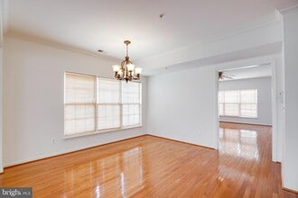 42670 Hollyhock Terrace in Ashburn, VA - Building Photo - Building Photo