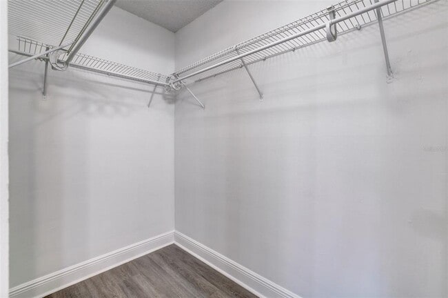 2597 Grassy Point Dr in Lake Mary, FL - Building Photo - Building Photo