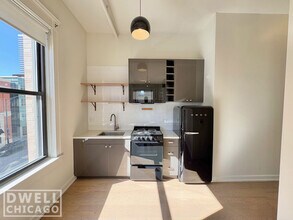 102 W Chicago Ave in Chicago, IL - Foto de edificio - Building Photo