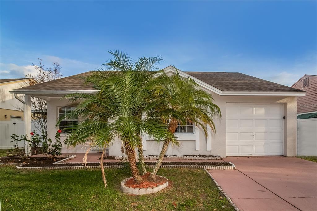 12351 Witheridge Dr in Tampa, FL - Building Photo