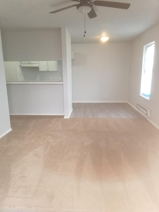 Elsie Avenue in San Antonio, TX - Foto de edificio - Interior Photo