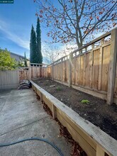 87 Starview Dr in Oakland, CA - Building Photo - Building Photo
