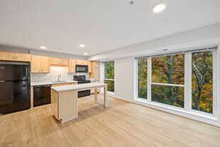The Theodore Apartments 55+ in Minneapolis, MN - Building Photo