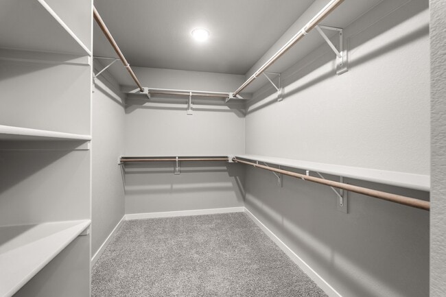 6395 Laud Pt in Colorado Springs, CO - Foto de edificio - Building Photo