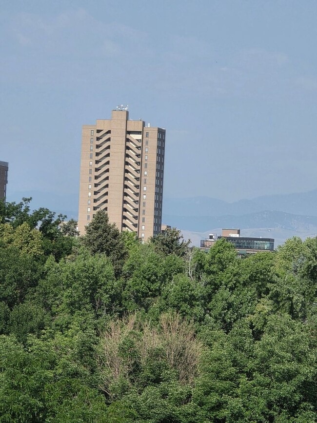 1313 Steele St in Denver, CO - Building Photo - Building Photo