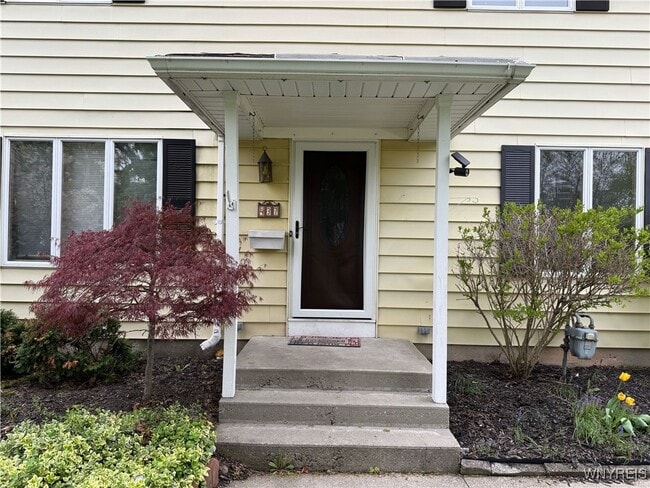 437 Springville Ave in Buffalo, NY - Building Photo - Building Photo
