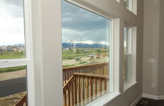 7170 Bigtooth Maple Dr in Colorado Springs, CO - Building Photo - Building Photo