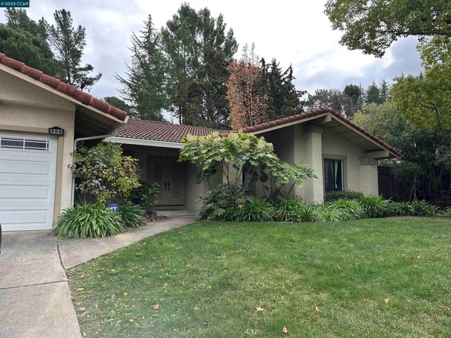 224 Lasso Cir in San Ramon, CA - Building Photo - Building Photo