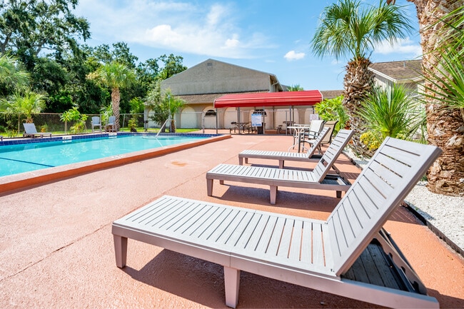 Beltrees Plaza in Dunedin, FL - Foto de edificio - Building Photo