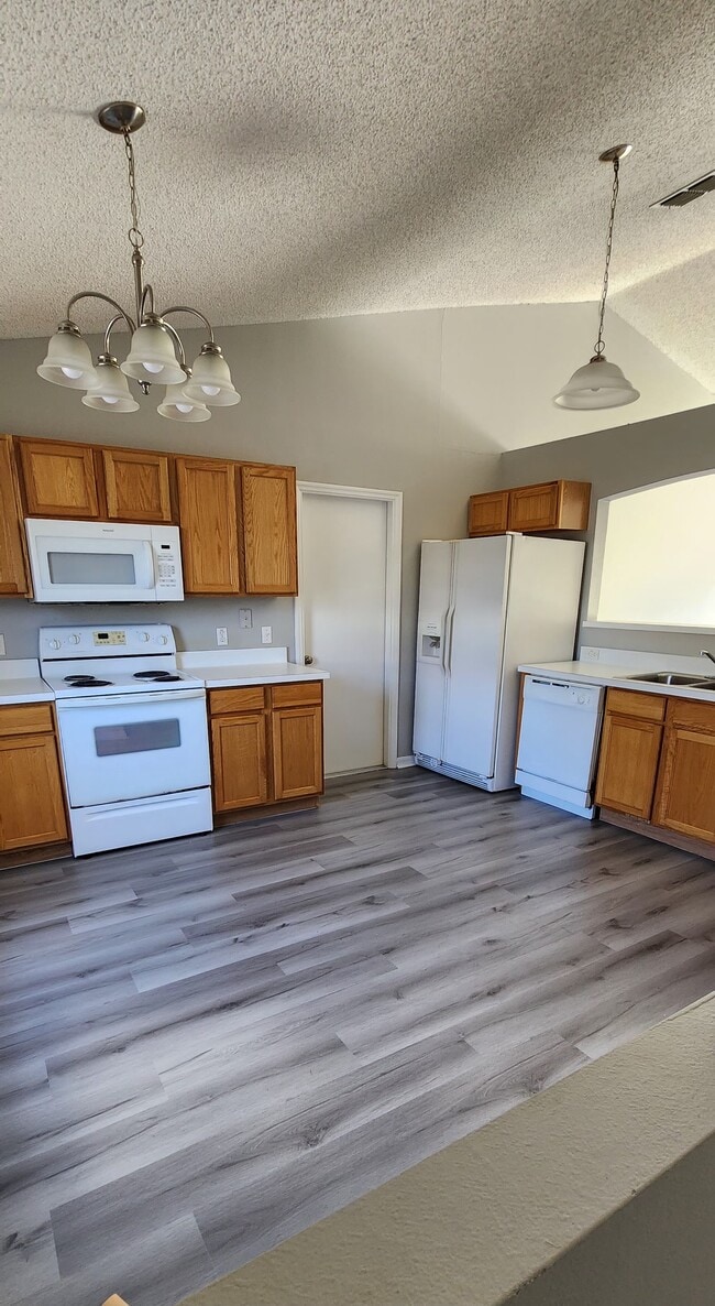 1231 Apopka Ln in Kissimmee, FL - Building Photo - Building Photo