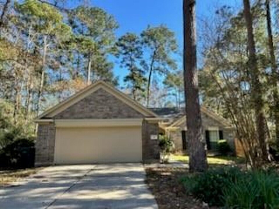 55 E Trillium Cir in Spring, TX - Building Photo