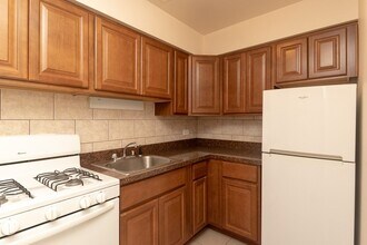 535 W Aldine Ave in Chicago, IL - Building Photo - Building Photo