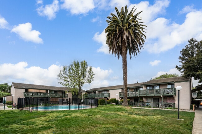 4888 Clayton Rd in Concord, CA - Building Photo - Building Photo