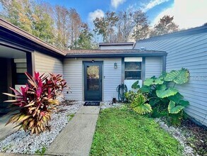 11536 Baywood Meadows Dr in New Port Richey, FL - Building Photo - Building Photo