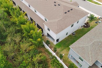 2878 Suncoast Plains Dr in Odessa, FL - Building Photo - Building Photo