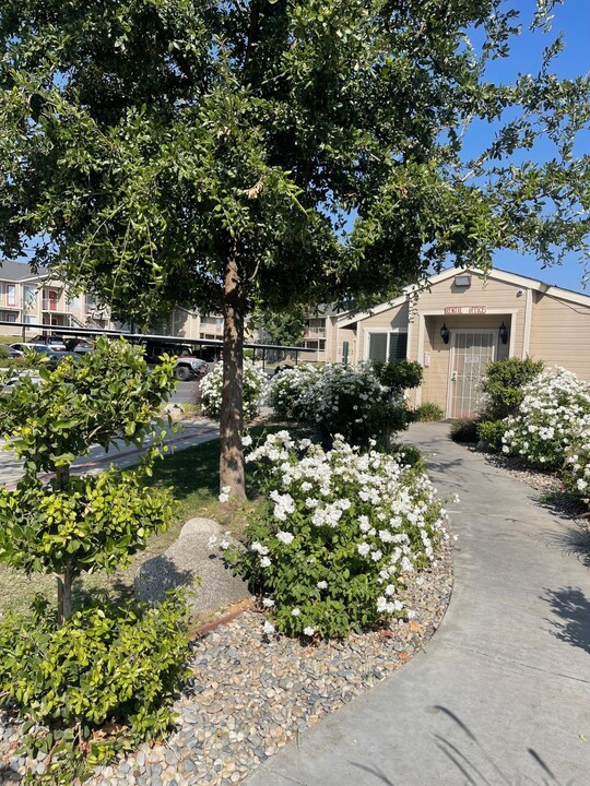 Shadow Ridge Apartments in Bakersfield, CA - Building Photo