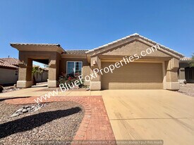 5362 Lace Cactus Pl in Marana, AZ - Building Photo