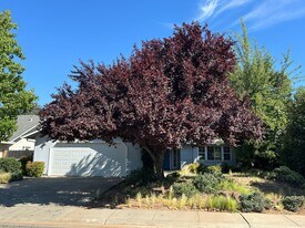1658 Albion Ct in Chico, CA - Building Photo