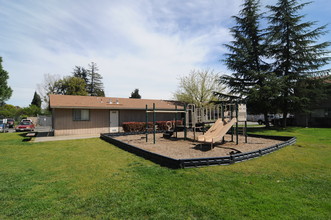 Olivehurst Apartments in Olivehurst, CA - Building Photo - Building Photo