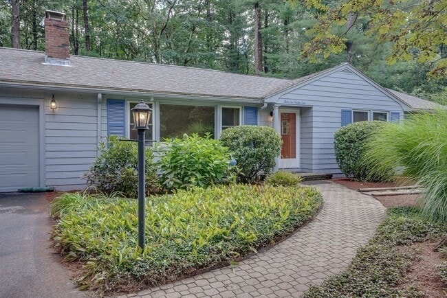 31 Hayden Ln in Bedford, MA - Building Photo - Building Photo