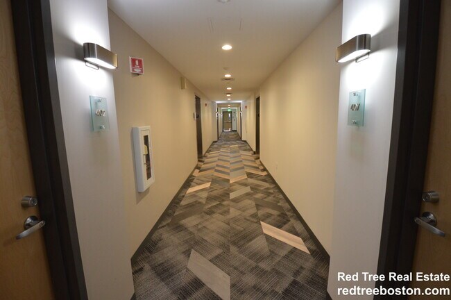 40 Malvern St in Boston, MA - Building Photo - Building Photo
