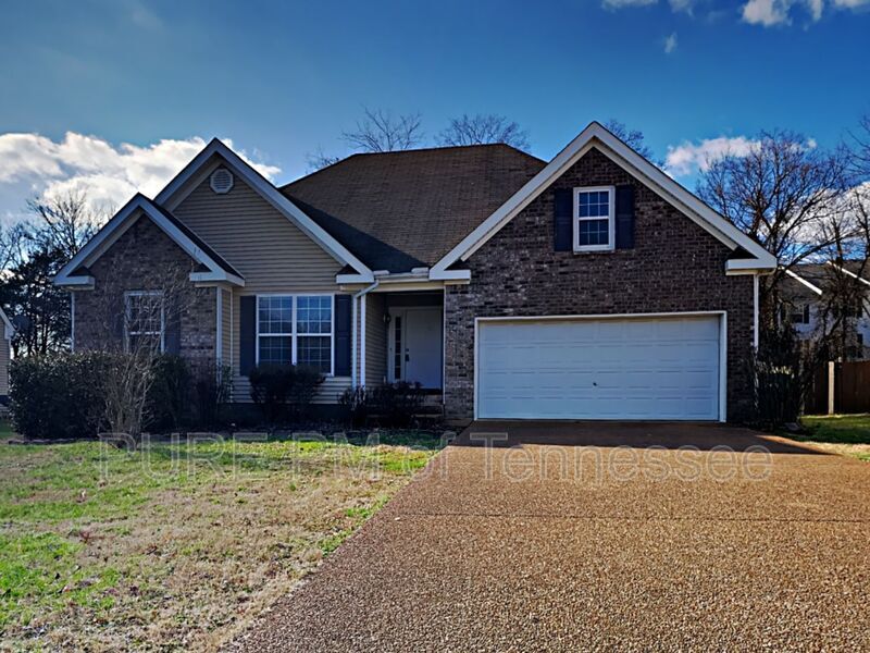 2821 Rippavilla Way in Spring Hill, TN - Building Photo