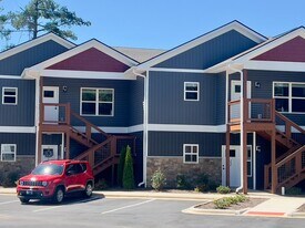 143 Carver St in Brevard, NC - Building Photo