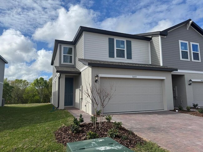 16431 Bird of Paradise Ave in Clermont, FL - Building Photo - Building Photo