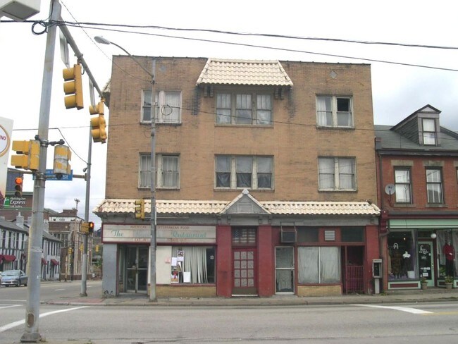 1001 E Carson St in Pittsburgh, PA - Building Photo - Building Photo