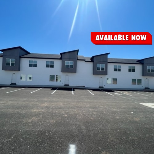 431 S Public Ave in Clever, MO - Building Photo