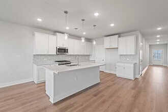 1520 Carvin Wy in Pflugerville, TX - Building Photo - Building Photo