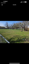 216 South St in Tye, TX - Building Photo - Building Photo